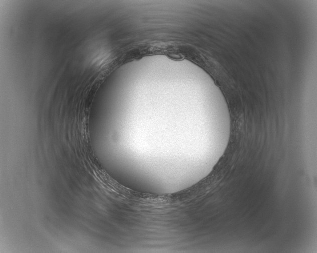 X0000080100914200612080925