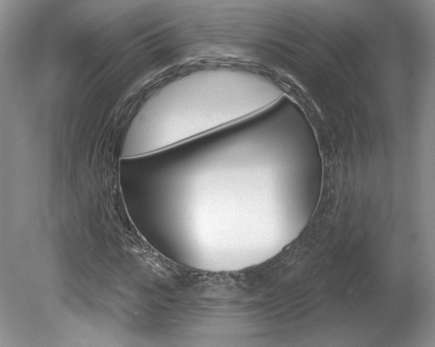 X0000080100919200612080925