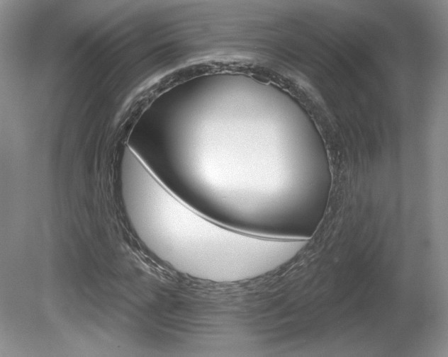 X0000080100920200612080925