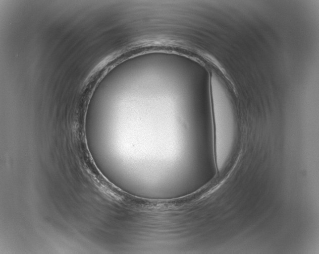 X0000080100922200612080925