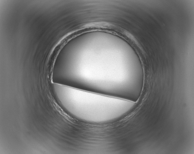 X0000080100923200612080925