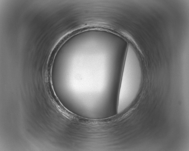 X0000080100924200612080925