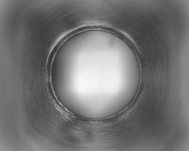 X0000080100927200612080925