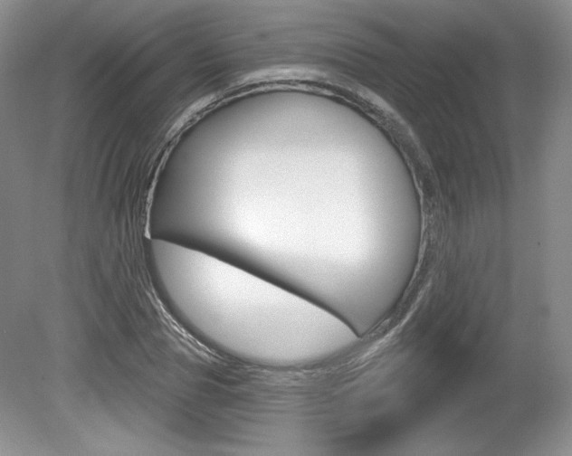 X0000080100929200612080925