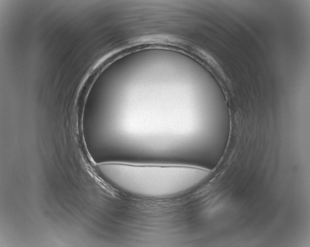 X0000080100931200612080925