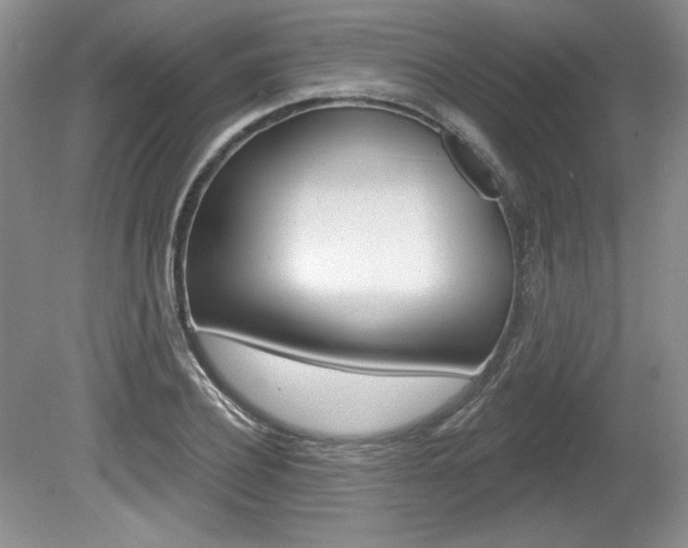 X0000080100932200612080925