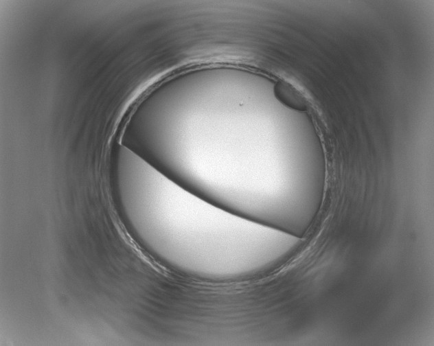 X0000080100933200612080925