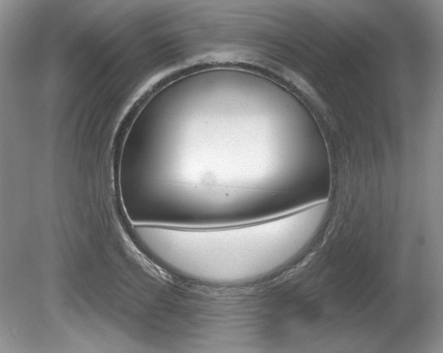 X0000080100934200612080926