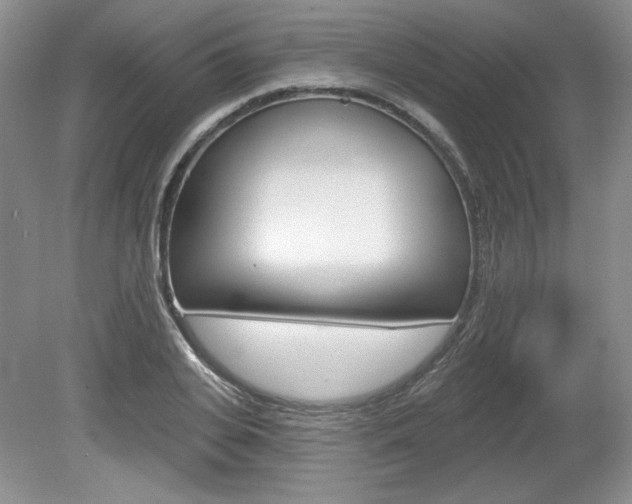 X0000080100935200612080926