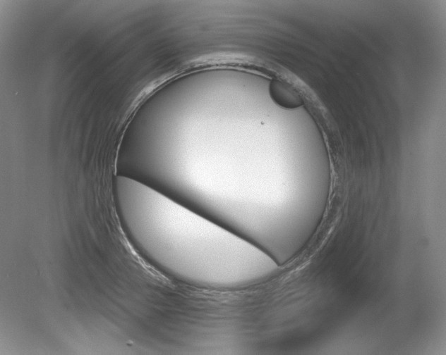 X0000080100937200612080926