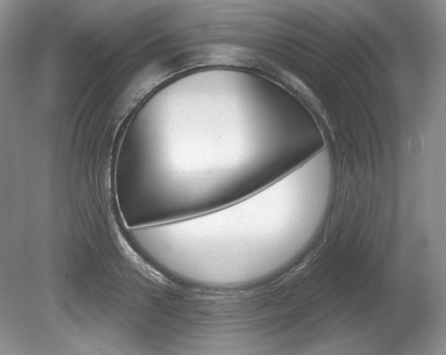 X0000080100938200612080926