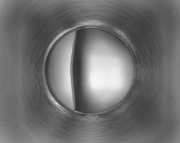 X0000080100939200612080926