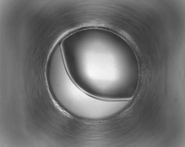 X0000080100942200612080926