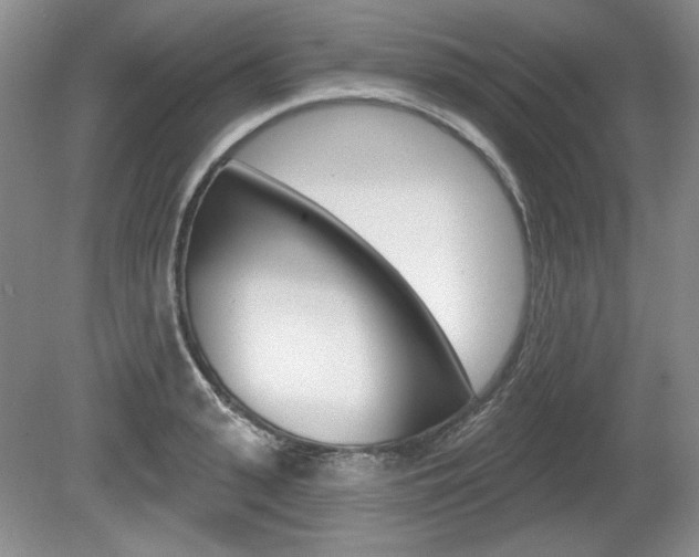 X0000080100943200612080926
