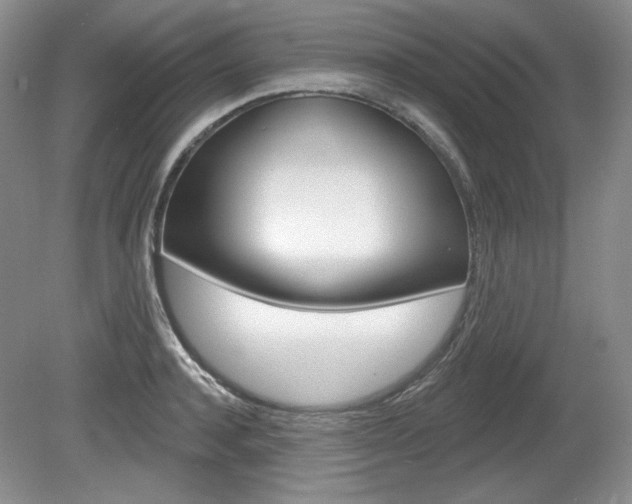 X0000080100944200612080926