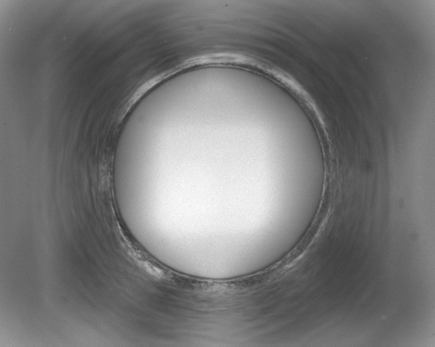 X0000080100945200612080926