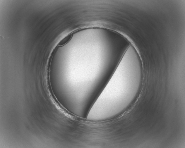 X0000080100949200612080926