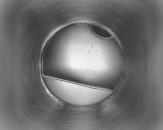 X0000080100951200612080926