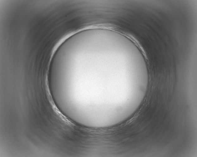 X0000080100952200612080926