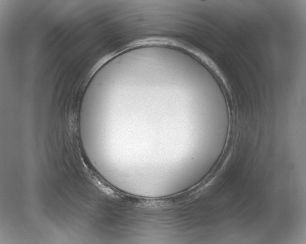 X0000080100953200612080926