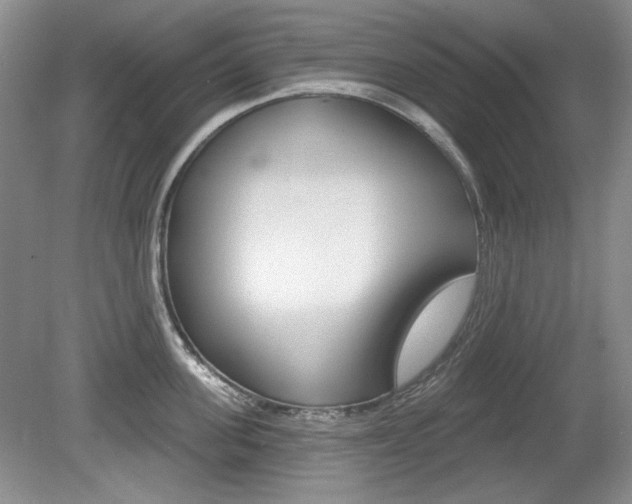 X0000080100955200612080926
