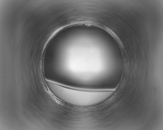 X0000080100956200612080926