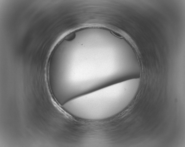 X0000080100958200612080926