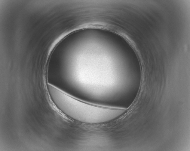X0000080100960200612080926