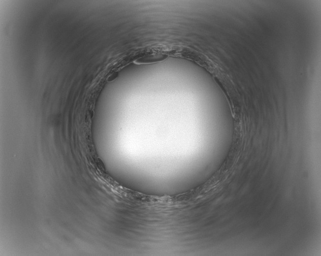 X0000080100961200612080925