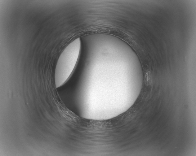 X0000080100963200612080925