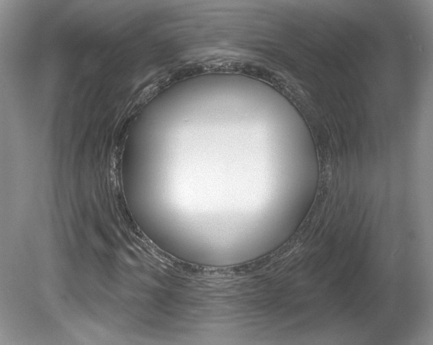 X0000080100964200612080925