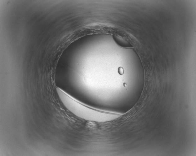 X0000080100965200612080925