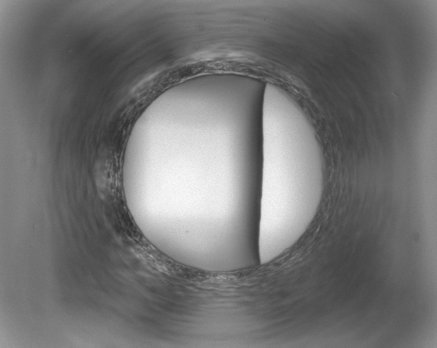 X0000080100966200612080925