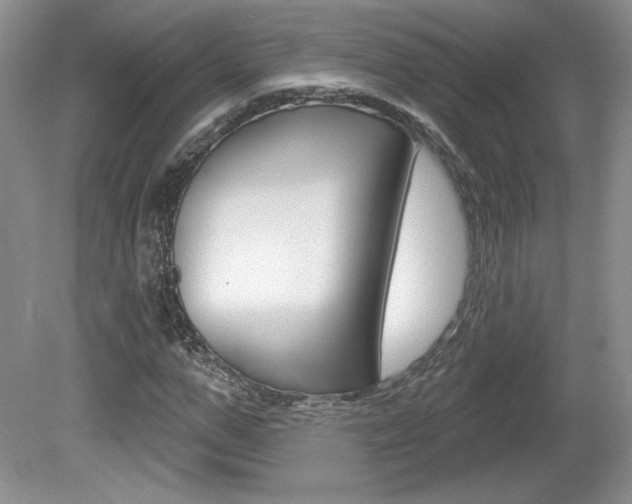 X0000080100967200612080925