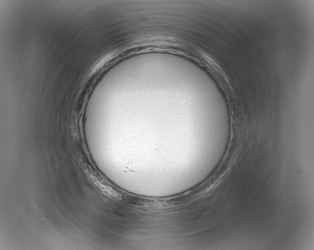 X0000080100970200612080925