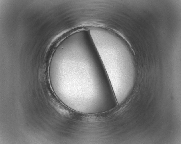 X0000080100971200612080925