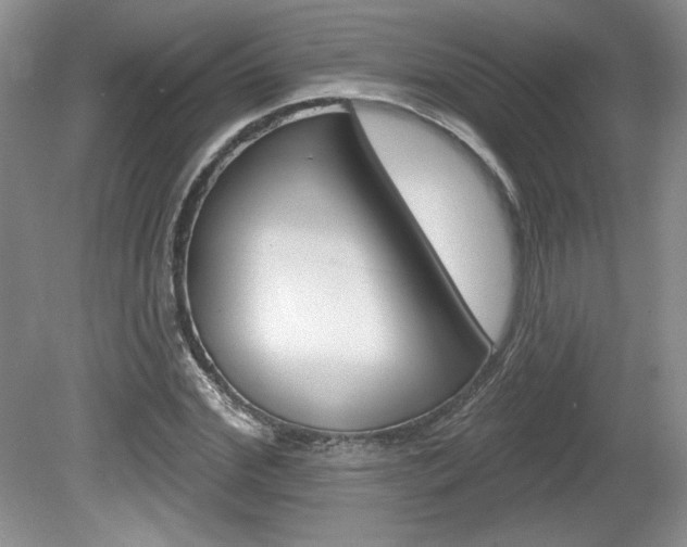 X0000080100972200612080925