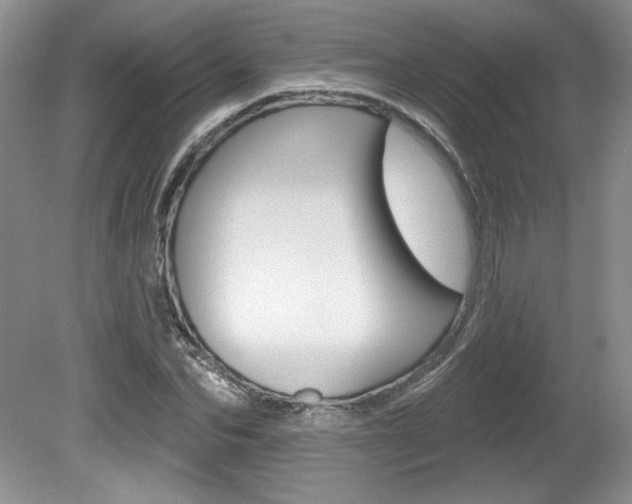 X0000080100974200612080925