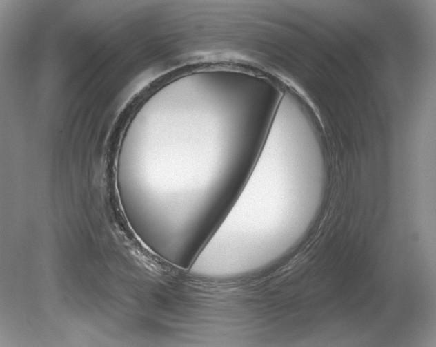 X0000080100975200612080925