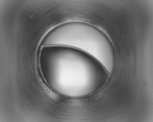 X0000080100976200612080925