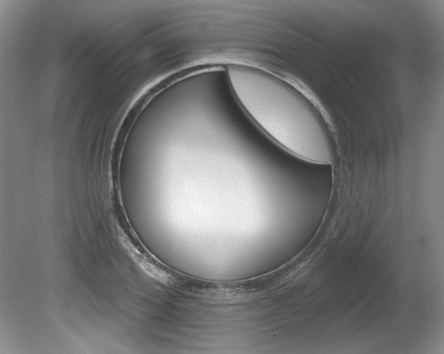 X0000080100980200612080925