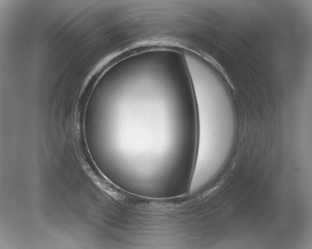 X0000080100981200612080925
