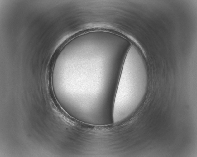 X0000080100983200612080925