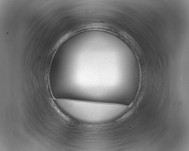 X0000080100985200612080925