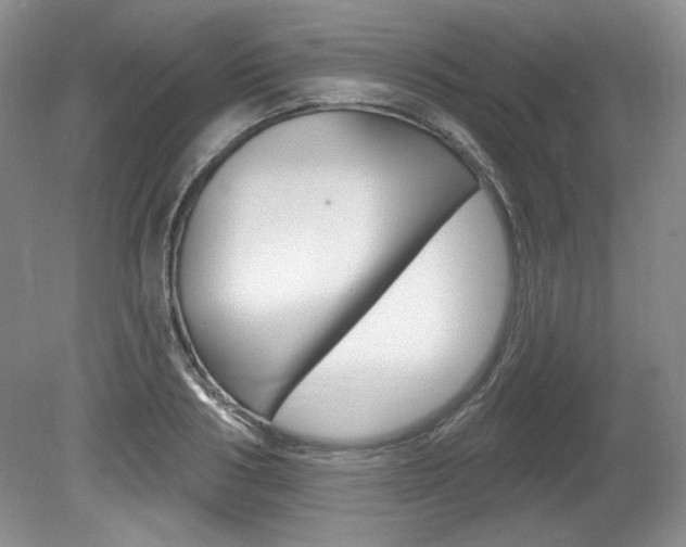 X0000080100986200612080925