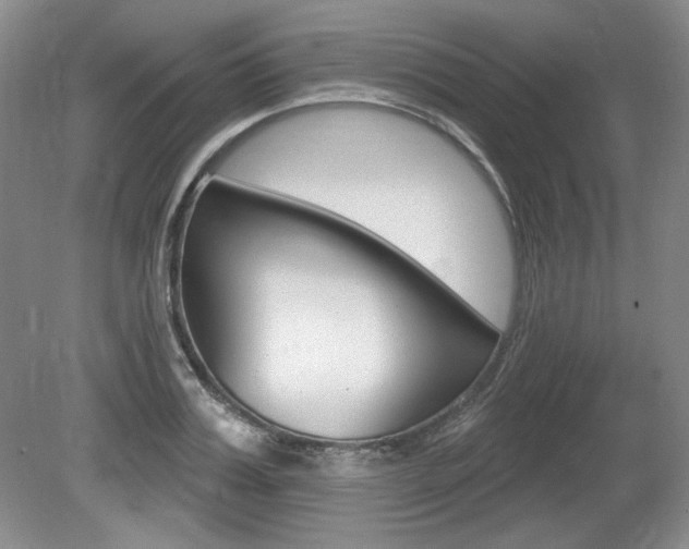 X0000080100987200612080925