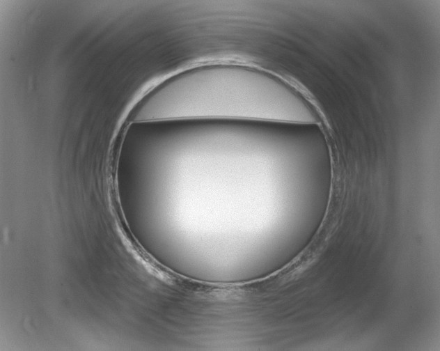 X0000080100989200612080925