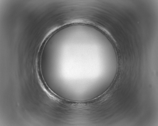 X0000080100991200612080925