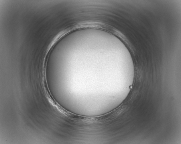 X0000080100994200612080925
