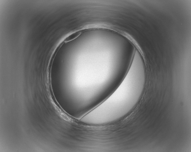 X0000080100996200612080925